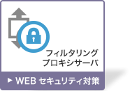 bt-websecurity.png