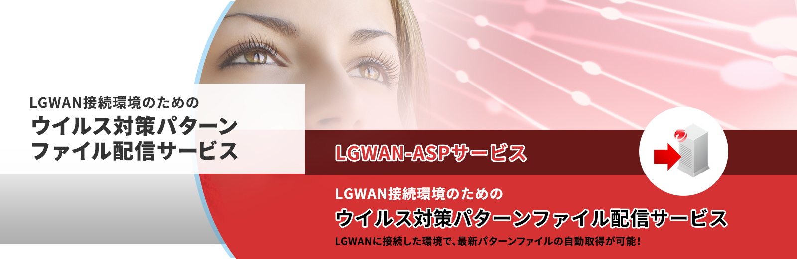 LGWAN-ASP ウイルス対策パターンファイル配信サービス